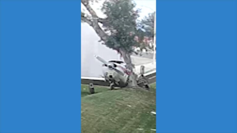 WATCH:  Small plane makes crash landing into tree in Southern California