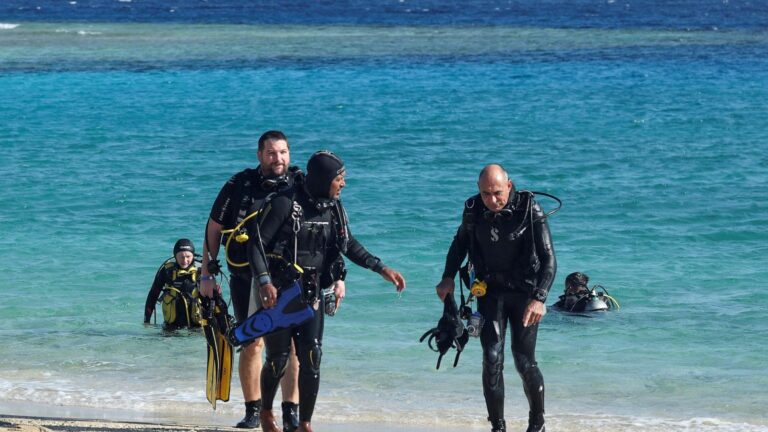 31 rescued after tourist boat sinks off Egyptian coast