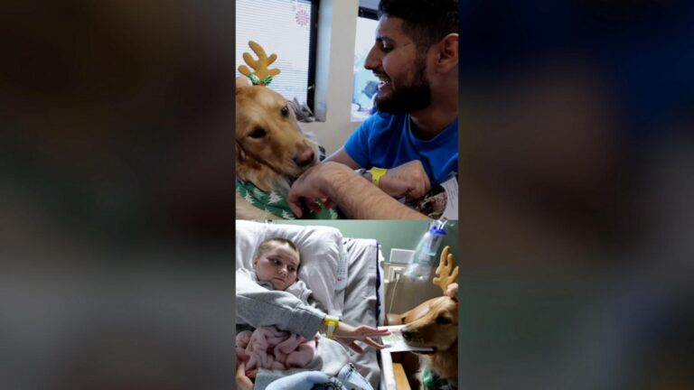 WATCH:  Adorable golden retriever therapy dog brings holiday cheer to Houston hospital
