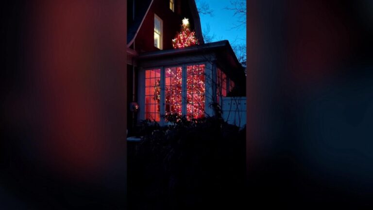 WATCH:  Video of Christmas tree illusion goes viral