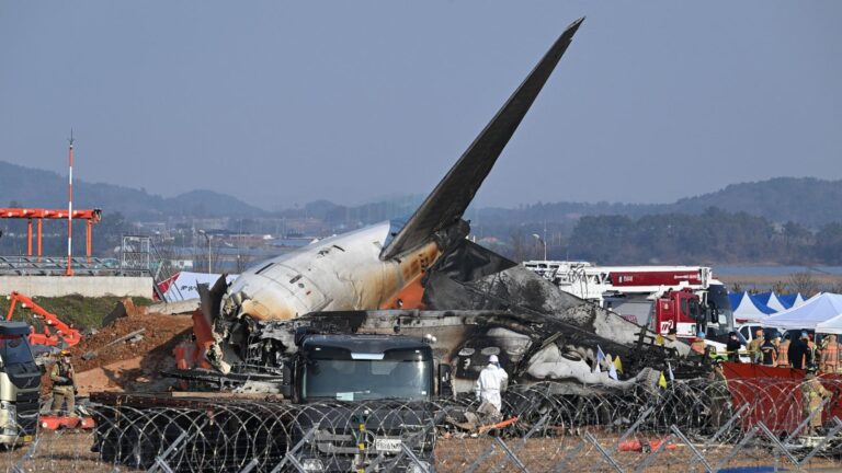 1 of 2 survivors of deadly South Korea jet crash is alert and talking