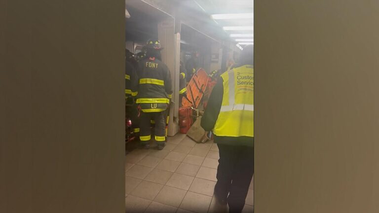 Man in critical condition after being pushed onto New York City subway tracks: Police