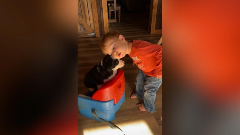 WATCH:  Adorable toddler and puppy are best friends