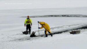 WATCH:  New York Rangers rescue Moose in the ice