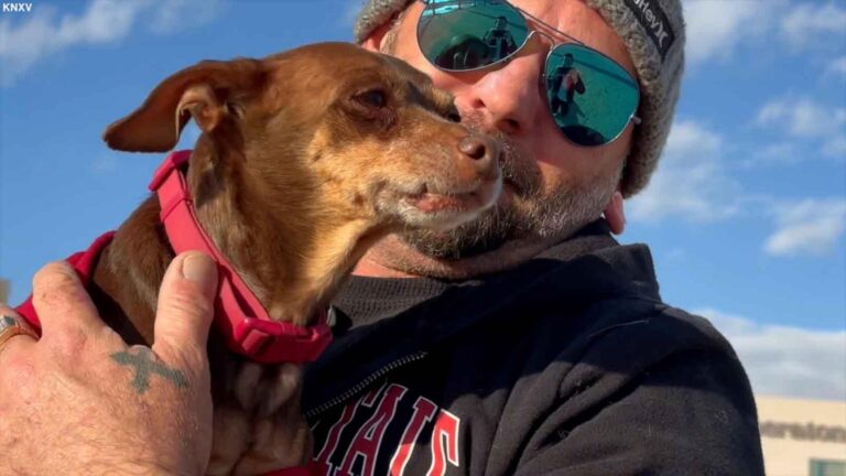 WATCH:  Phoenix man reunited with missing dog after 8 years apart