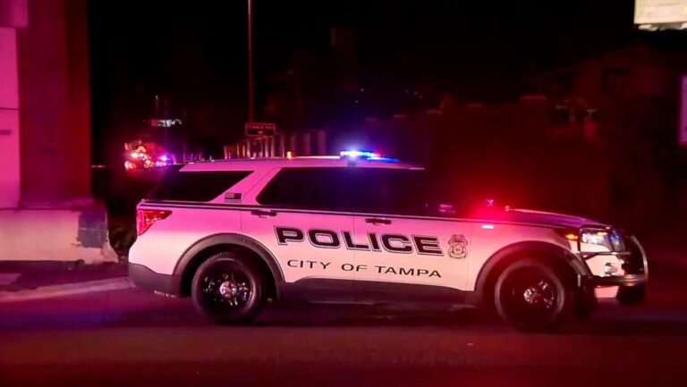 ‘Violent rampage’: Driver killed after deadly hit-and-run spree