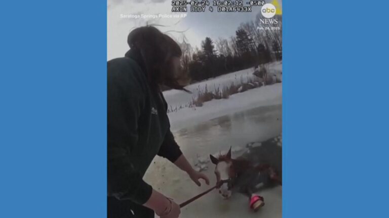 WATCH:  Horse rescued from icy pond in upstate New York