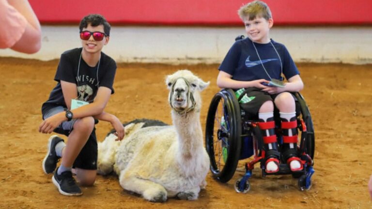 WATCH:  World’s oldest llama comforts sick children