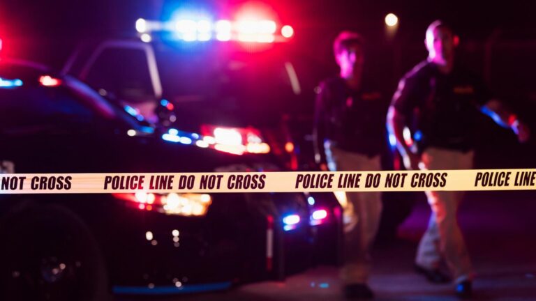 ‘Numerous’ homemade explosive devices discovered near park