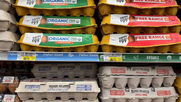 Trump says egg prices are falling. Some experts say the claim is misleading.