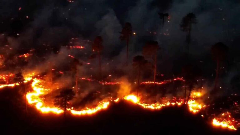 WATCH:  Drone video captures wildfires at state forest in Pennsylvania