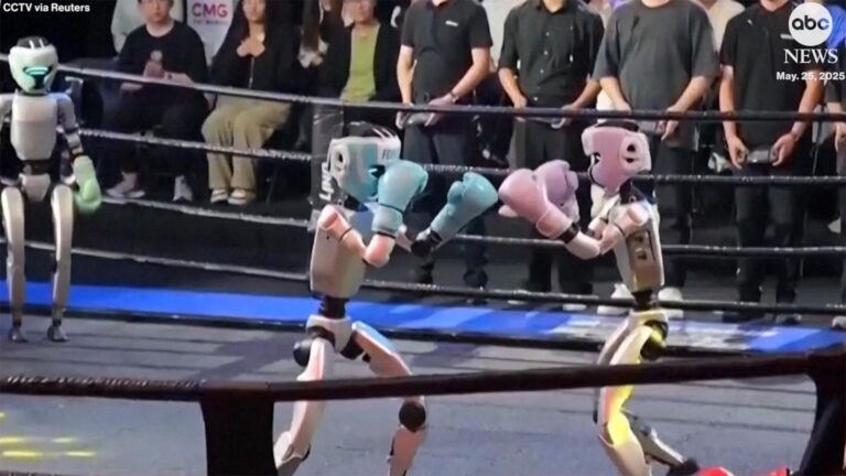 WATCH:  Humanoid robots pack a futuristic punch in boxing ring