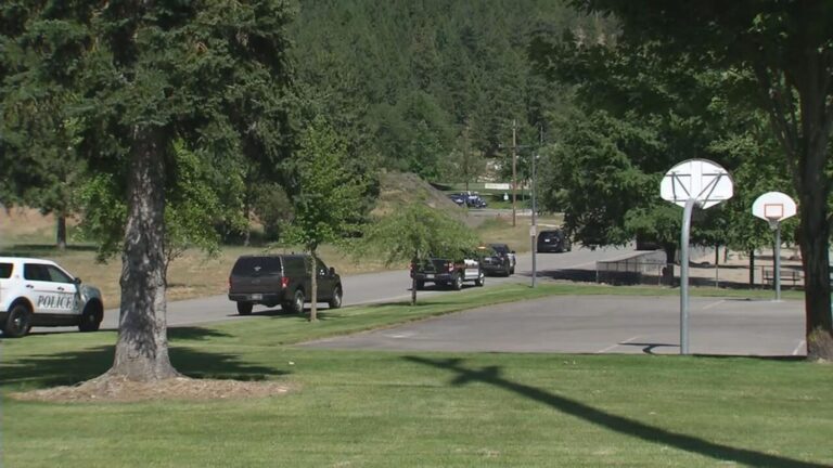 2 dead in Idaho after gunman ambushes firefighters responding to brush fire: Sheriff