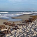 WATCH:  New advice on how to escape rip currents