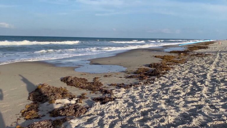 WATCH:  New advice on how to escape rip currents