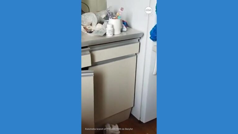 WATCH:  Russian kitchen gets shaken during massive earthquake