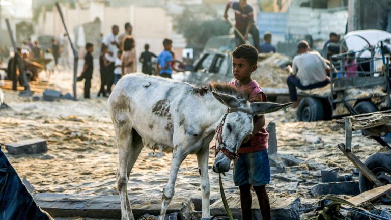 14 people die from malnutrition in Gaza, health ministry says
