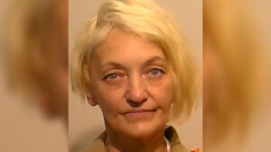 Stowaway on flight from New York to Paris sentenced to time served