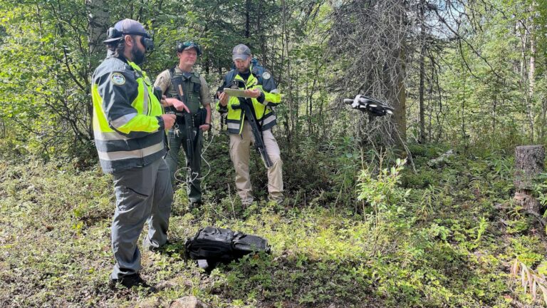 Anchorage warns hikers after 2 bear attacks in a week