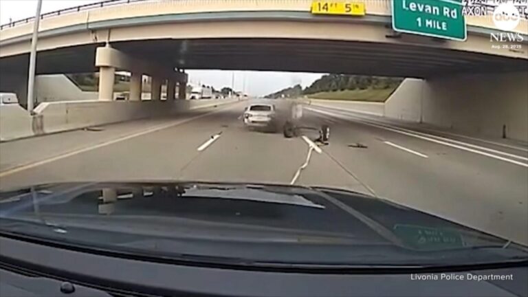 WATCH:  Police use grappler device to stop stolen car suspect on Michigan highway