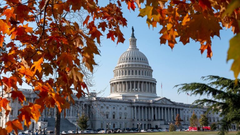 Here’s what NOAA predicts for the weather this fall
