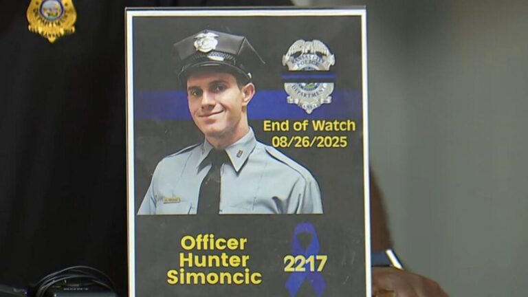 Officer killed during police pursuit after suspect intentionally strikes him: Police