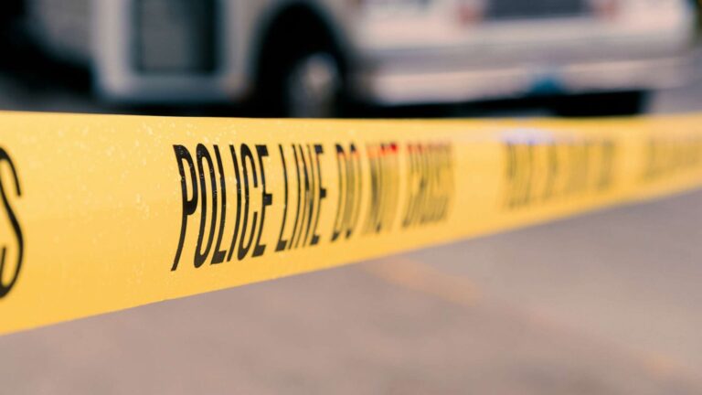 Woman suffers ‘serious injuries’ in bear attack while on her morning jog