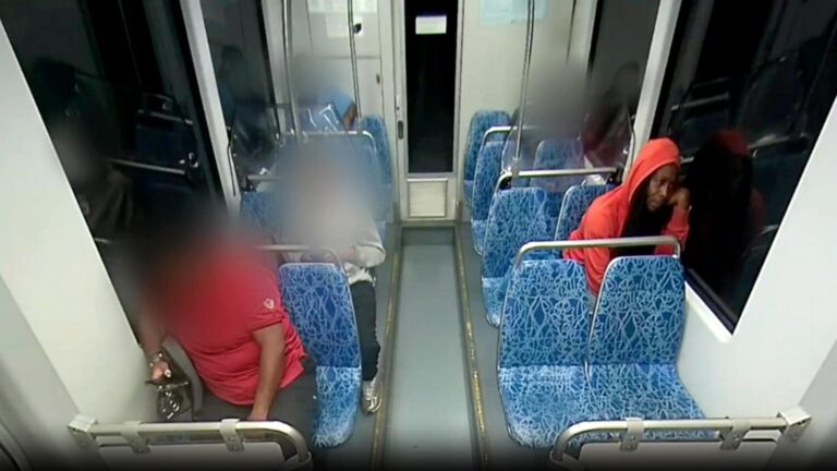 ‘Heartbroken’: Woman stabbed to death while riding light rail train