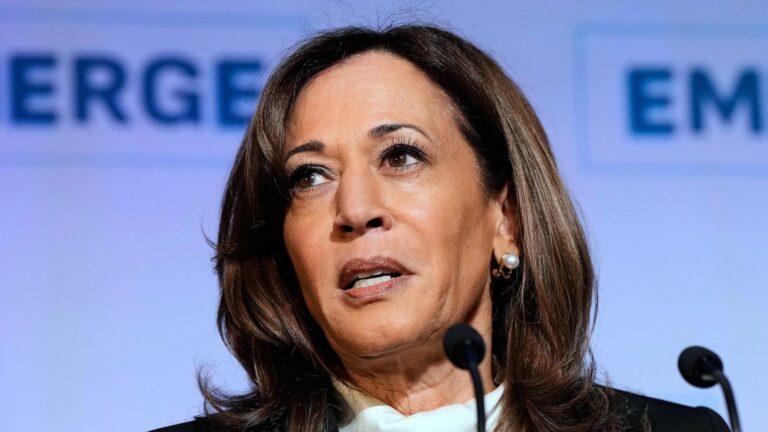 ‘Recklessness’: Kamala Harris turns on Joe Biden in new book